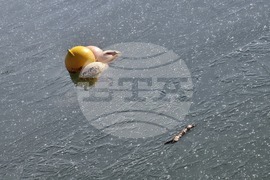 Пловдив - Гребен канал - лед