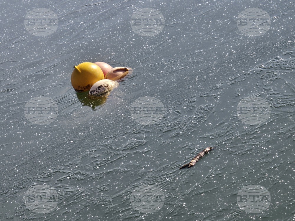 Пловдив - Гребен канал - лед