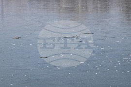 Пловдив - Гребен канал - лед