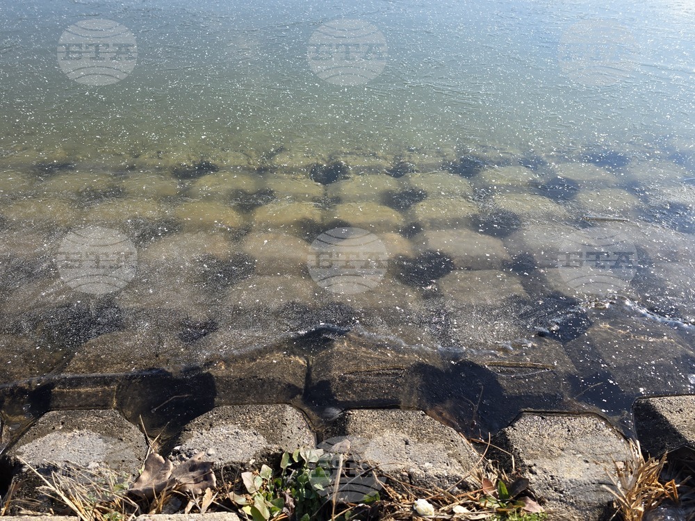 Пловдив - Гребен канал - лед