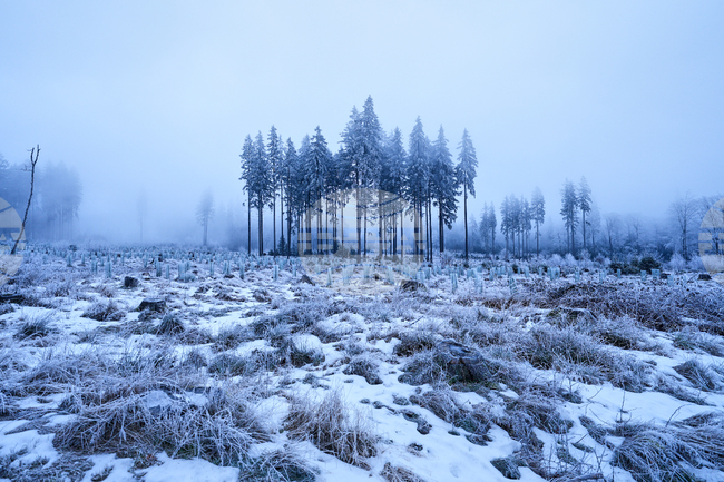 APTOPIX Germany Weather