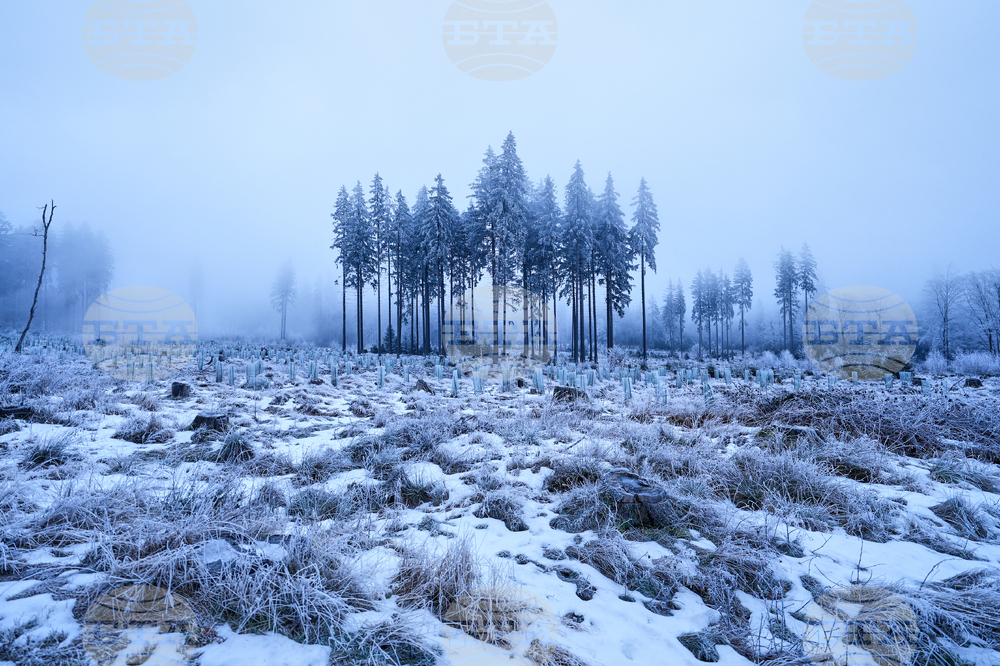 APTOPIX Germany Weather