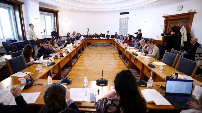 Parliamentary Committee Rejects Proposal to Ban CEC Members from Sitting on Party Governing Bodies During Their Term