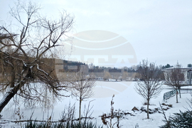 Търговище - езеро „Борово око“ - заледена повърхност