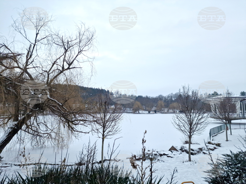 Търговище - езеро „Борово око“ - заледена повърхност