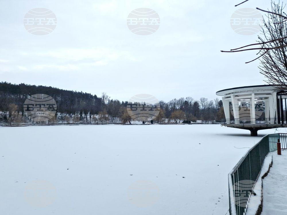 Търговище - езеро „Борово око“ - заледена повърхност