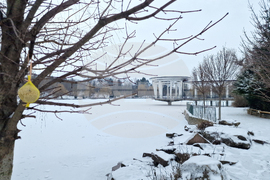 Търговище - езеро „Борово око“ - заледена повърхност