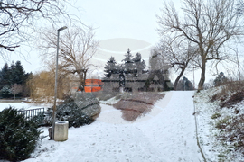 Търговище - езеро „Борово око“ - заледена повърхност