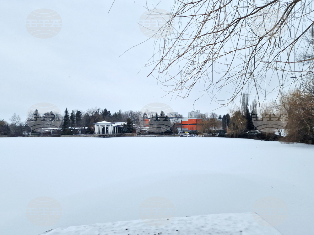 Търговище - езеро „Борово око“ - заледена повърхност