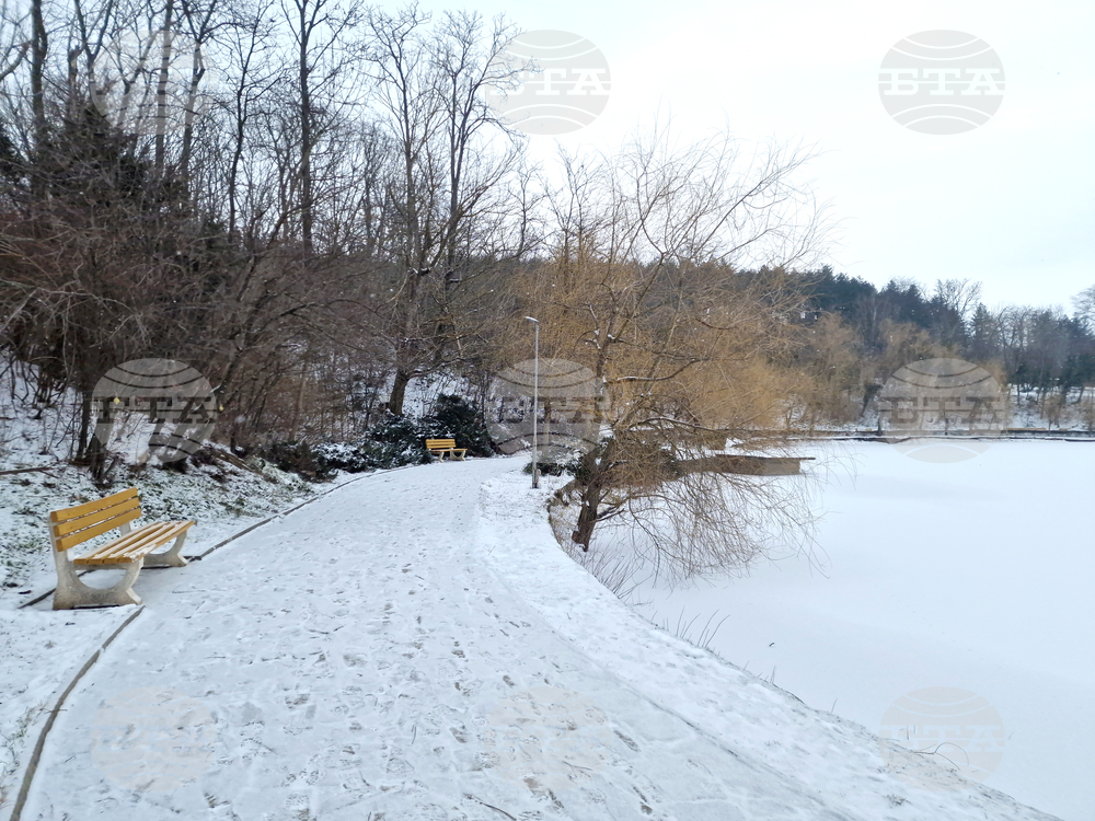 Търговище - езеро „Борово око“ - заледена повърхност