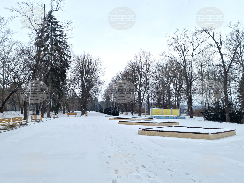 Търговище - езеро „Борово око“ - заледена повърхност