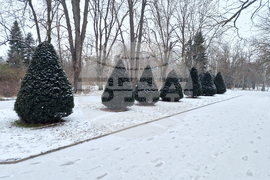 Търговище - езеро „Борово око“ - заледена повърхност