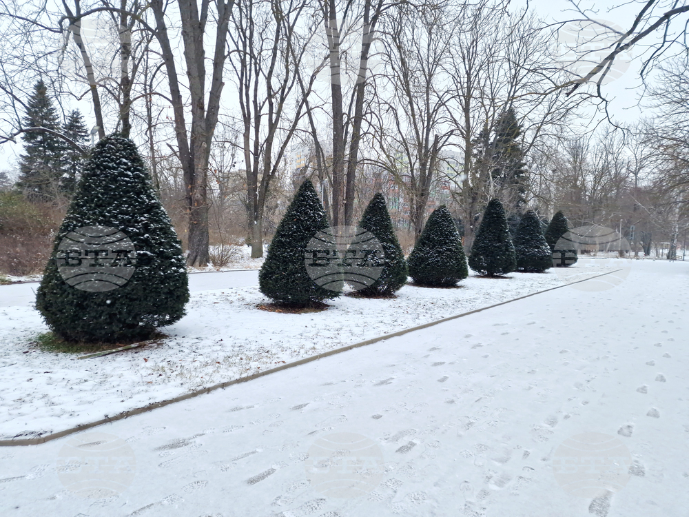 Търговище - езеро „Борово око“ - заледена повърхност