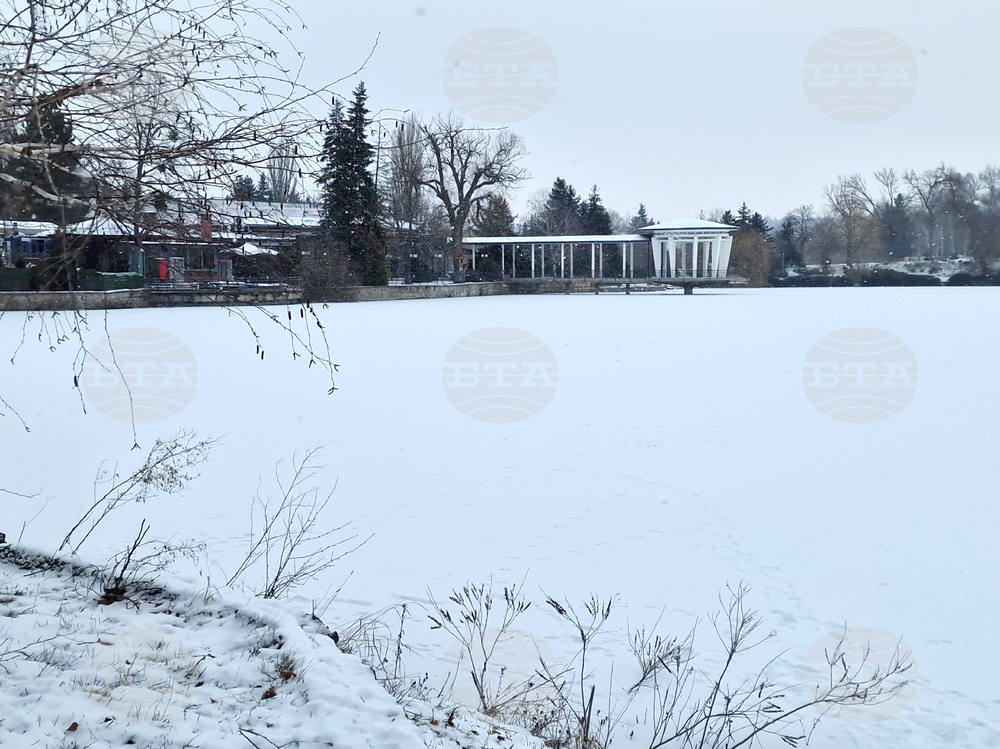 Търговище - езеро „Борово око“ - заледена повърхност