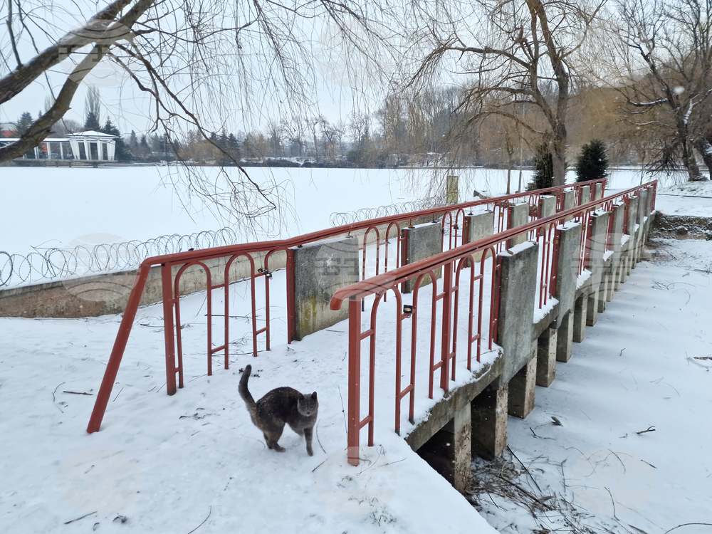 Търговище - езеро „Борово око“ - заледена повърхност