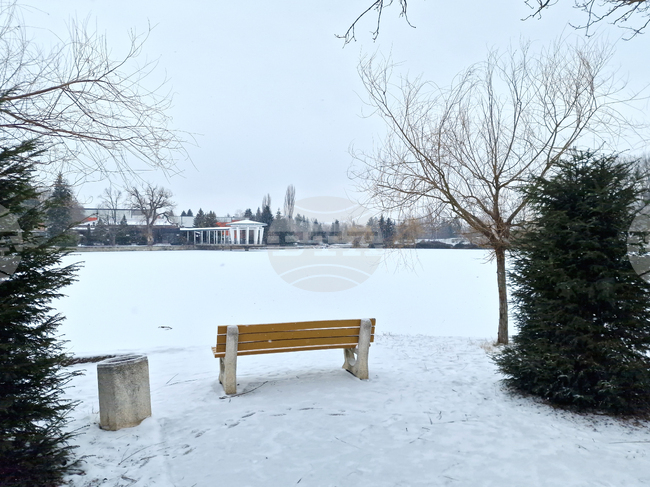 Търговище - езеро „Борово око“ - заледена повърхност