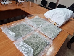 Ямбол - брифинг - заловено рекордно количество марихуана на ГКПП "Лесово"