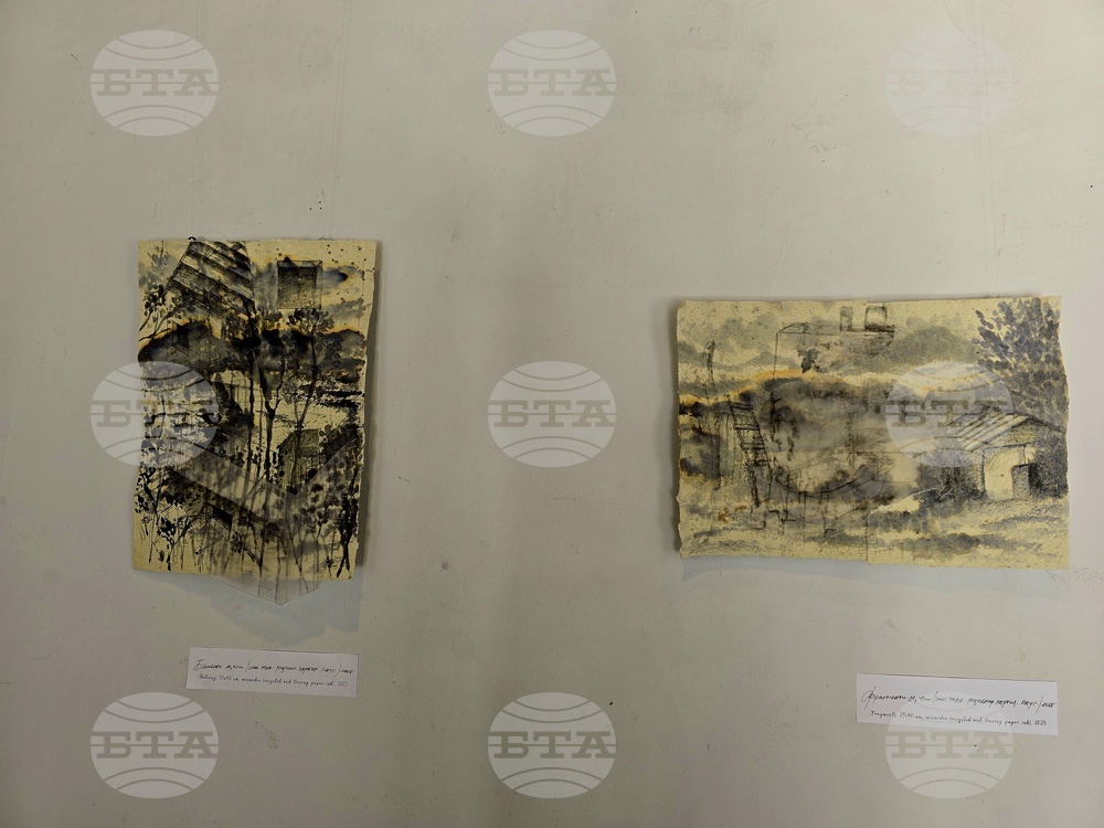 Кърджали - изложба - Ширин Йълмаз