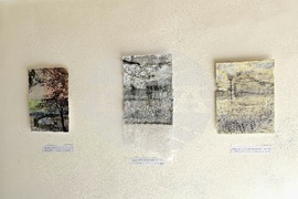 Кърджали - изложба - Ширин Йълмаз