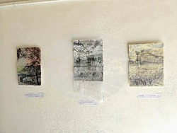 Кърджали - изложба - Ширин Йълмаз