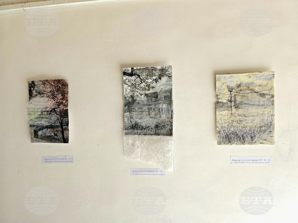 Кърджали - изложба - Ширин Йълмаз