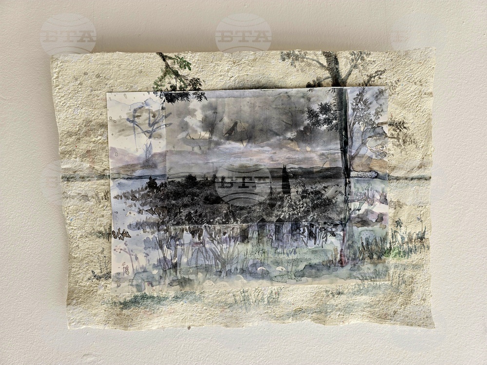 Кърджали - изложба - Ширин Йълмаз