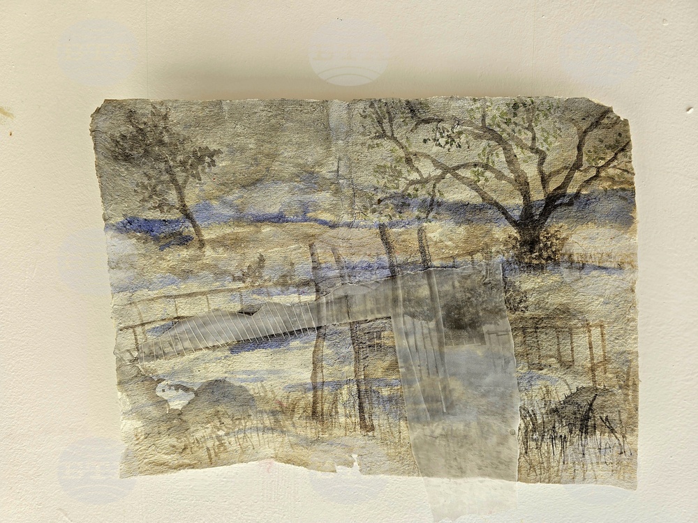 Кърджали - изложба - Ширин Йълмаз