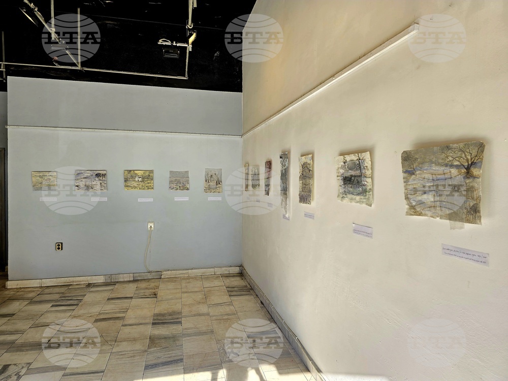 Кърджали - изложба - Ширин Йълмаз