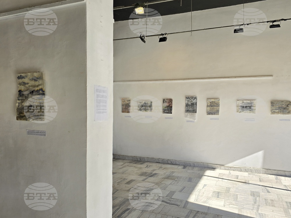 Кърджали - изложба - Ширин Йълмаз