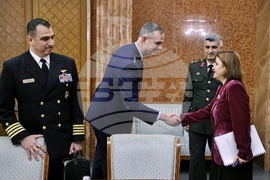 Румъния - Алексъс Гринкевич - Илие Боложан - среща