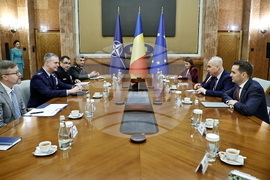 Румъния - Алексъс Гринкевич - Илие Боложан - среща