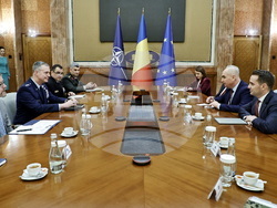 Румъния - Алексъс Гринкевич - Илие Боложан - среща