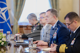 Румъния - Алексъс Гринкевич - Никушор Дан - среща