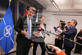 Belgium NATO Greenland Denmark