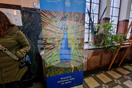 Перник - изложба - Индийско посолство