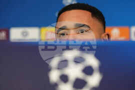 Italy Champions League Soccer