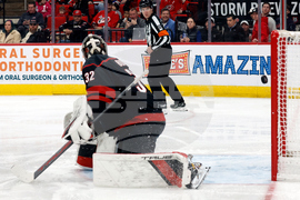 Sabres Hurricanes Hockey