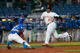 Hall of Fame Baseball