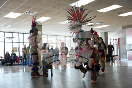 Immigration Enforcement Minnesota