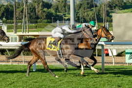 Santa Anita Horse Racing