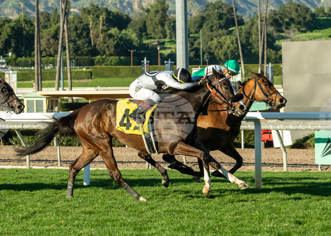 Santa Anita Horse Racing