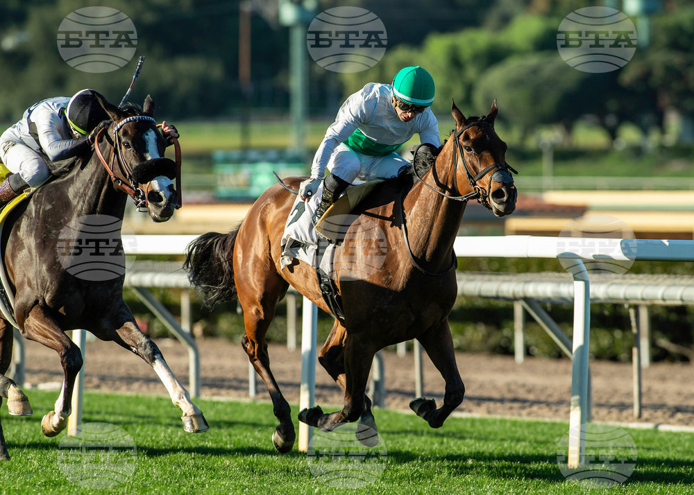 Santa Anita Horse Racing