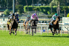 Santa Anita Horse Racing