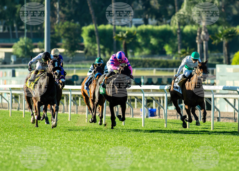 Santa Anita Horse Racing