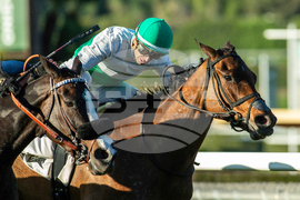 Santa Anita Horse Racing