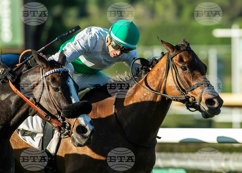 Santa Anita Horse Racing