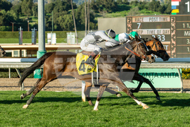 Santa Anita Horse Racing