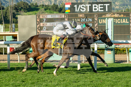 Santa Anita Horse Racing