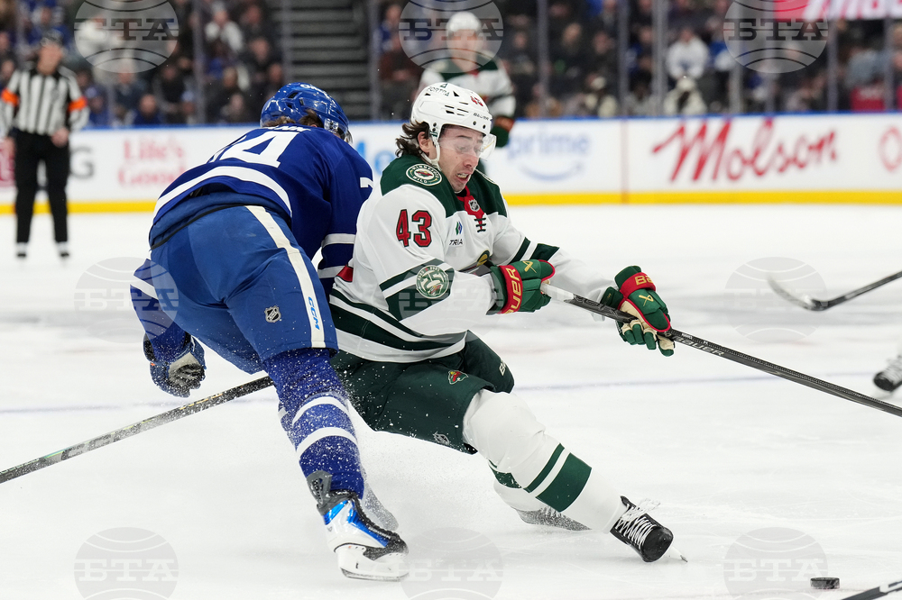 Wild Maple Leafs Hockey