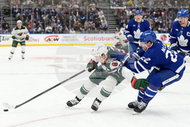 Wild Maple Leafs Hockey